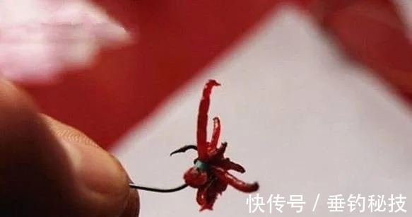 冬季,使用红虫钓鱼的技巧,咬钩稳拿大板子