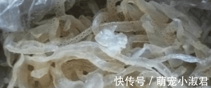海蜇皮|四种人工合成“垃圾食品”,你若全吃过,那你真是太倒霉了!