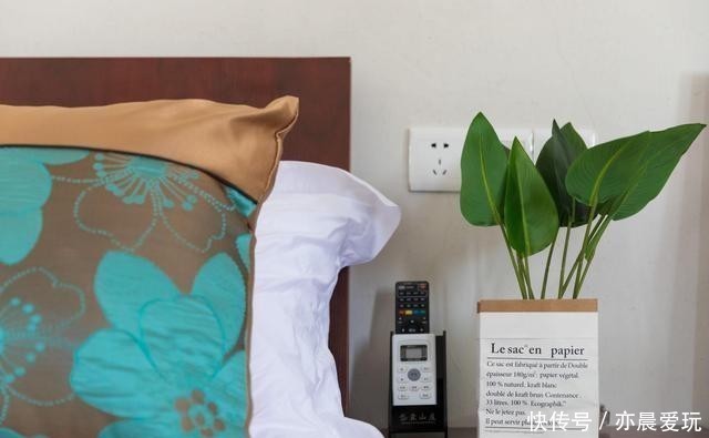 常春藤|卧室就养4种花,“养人”又养气,不是没有道理