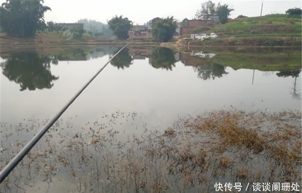 技巧|手竿钓鲫鱼,钓位选择技巧,一年四季都可钓草,但是四季都不同!