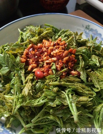 开胃|这种树叶子比嫩香椿还香，吃过的人不多，简单拌一拌，好吃又开胃
