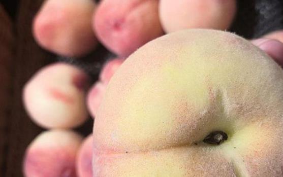 桃子|教你四招你就能挑出香甜的水果，美味有营养，小孩子喜欢吃