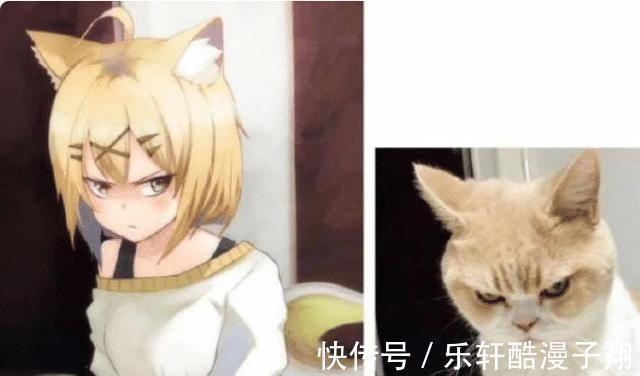 眼镜娘|现实突破次元壁变成二次元眼镜娘很可爱,猫娘太爱了吧