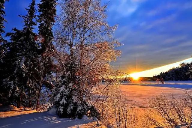 每日星座运势查询2021年1月29日(黑榜)