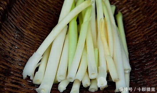 美味|农村见到此物别放过,不仅是天然止血剂,根部还是不可多得的美味