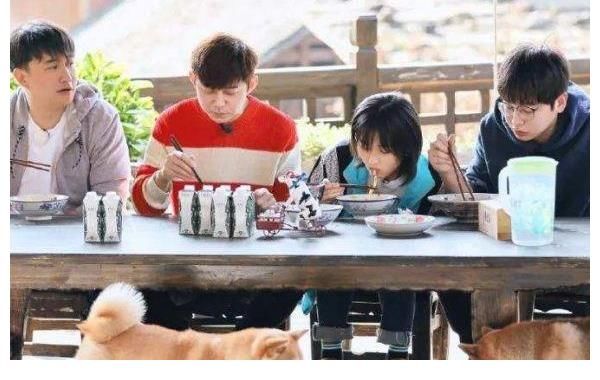 彭昱畅|中国最特别的一档综艺，明星不要钱都想参加，来了之后还不想走