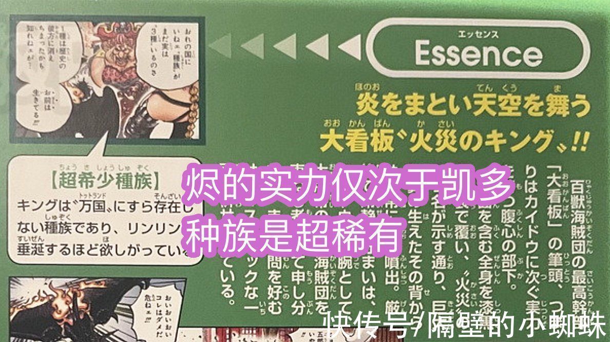 百兽海贼团|海贼王官方情报：烬的实力仅次于凯多，“人兽形态”公布，很恐怖