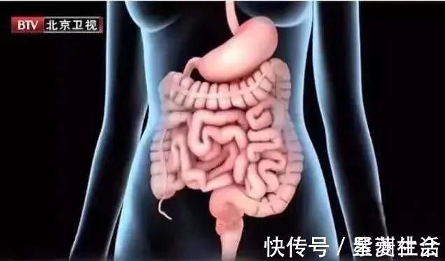 木瓜|藏在身边的“天然护肤品”，黑发、祛皱、美白……少花钱也能养出好皮肤