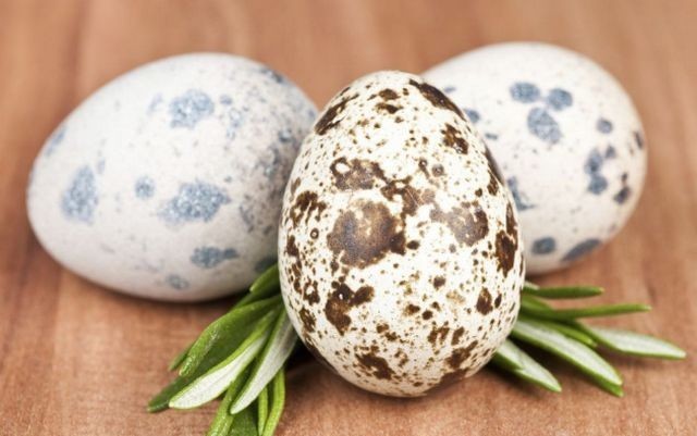 中年|小小的鹌鹑蛋里,居然有这个东西!不愧为