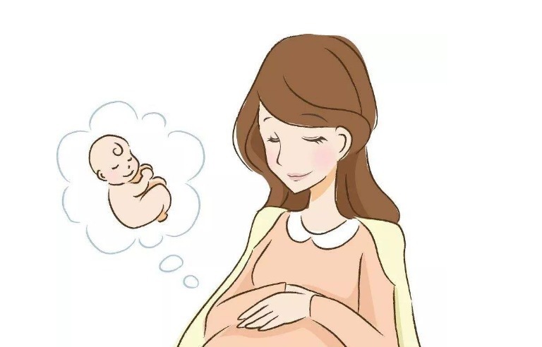 小张|为什么有些孕妇从不“呕吐”产科医生说,实际上与胎儿有很大关系