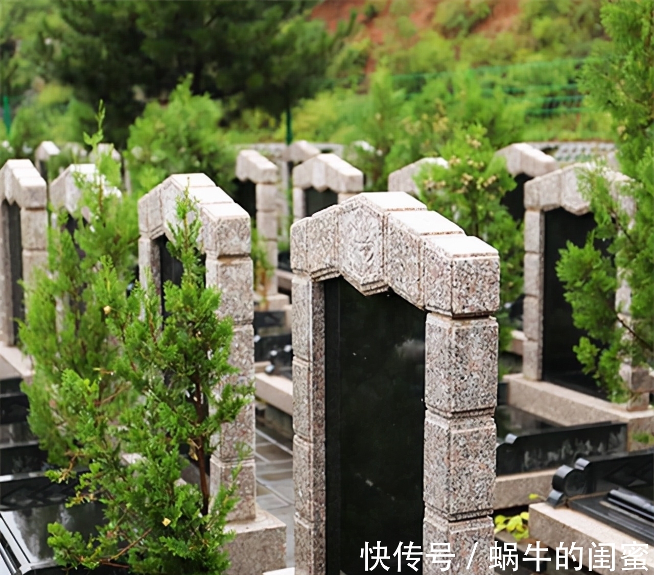 落叶归根#北大教授:现在的殡葬制度,是把过世的人当垃圾处理