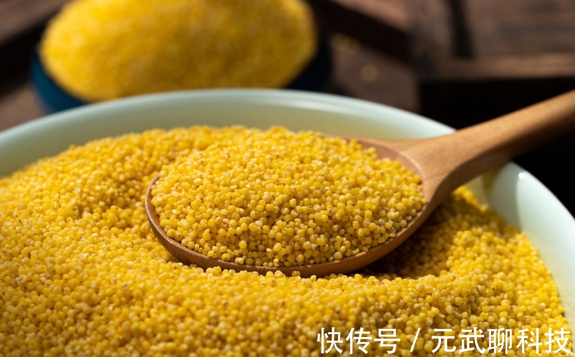 骨疏松|骨疏松的“加速器”不止核桃,北大院士呼吁“2黄1白”也要少吃