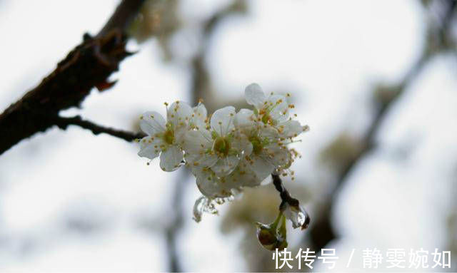 山村咏怀|宋朝一位不知名的诗人，写了一首有趣的诗，通篇包含一到十的数字