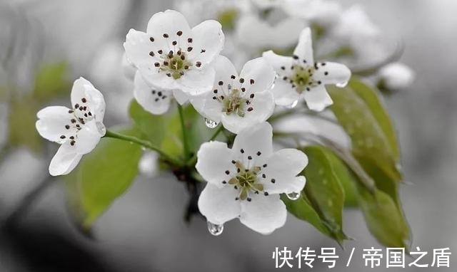 杜甫|十种诗词之最,道尽人生况味