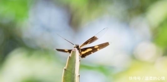 孝顺|孩子出生在几点钟,命好最有出息,孝顺父母,个个天资聪颖