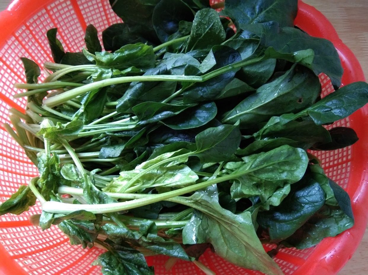 中秋|中秋家宴我家必做这菜，好吃好做寓意好，上桌比大鱼大肉更受欢迎