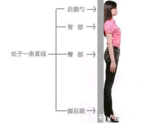 好处|“背厚一寸,人老十分”,每天就这样坚持站10分钟,好处自然来