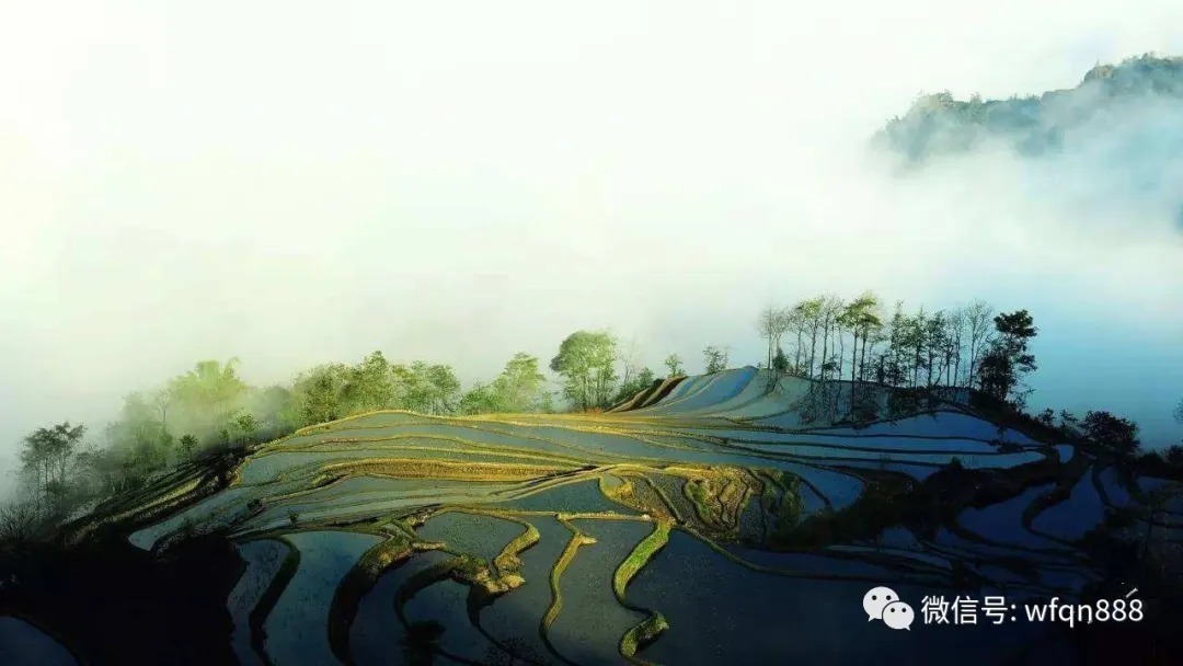 击壤歌#最早的古诗,流传了4000年,开头2句成千古名句,几乎人人会背