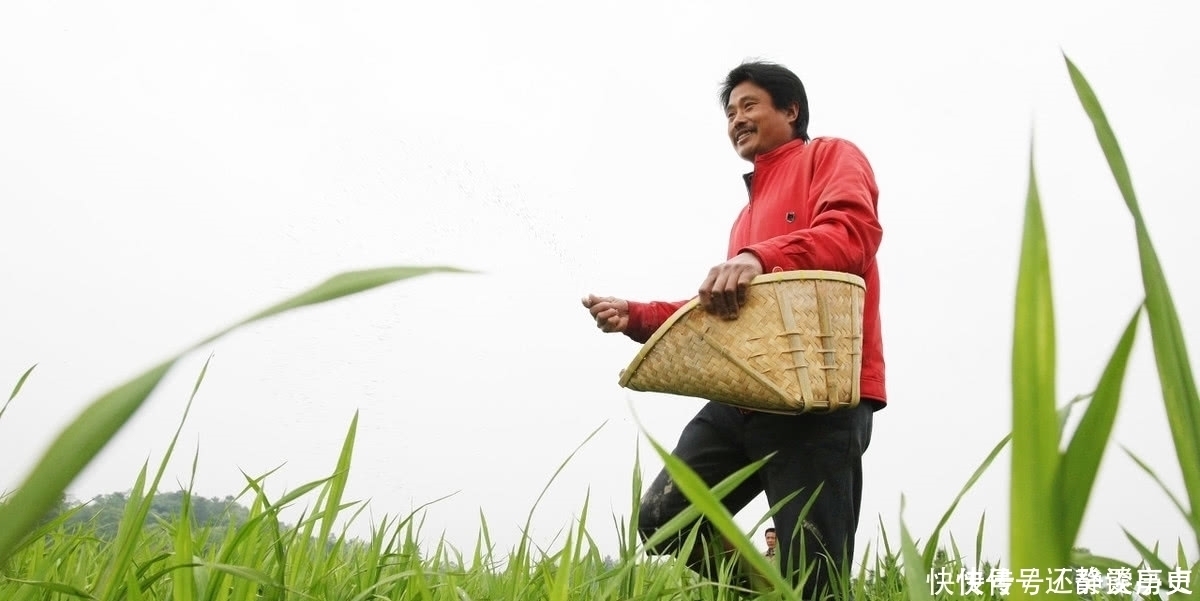 农村俗语“阴过冬至晴过年”啥意思？有没有道理？听听老农怎么说