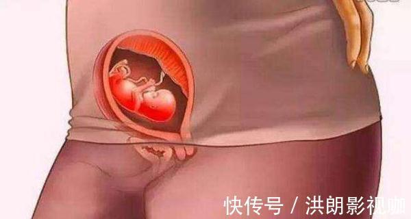 过程|怀胎十月到底是什么样的,十张图带你看孕育过程,生而为人须了解