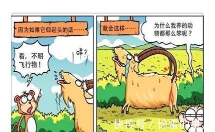 |搞笑漫画“加长版蜈蚣”让呆头一夜之间破产旺财慌得一批!