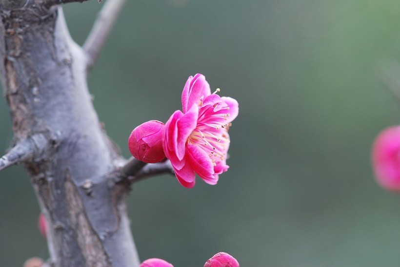 马女|生来“皇后命”的4大生肖女,老公宠爱,生活富裕,看看有你吗