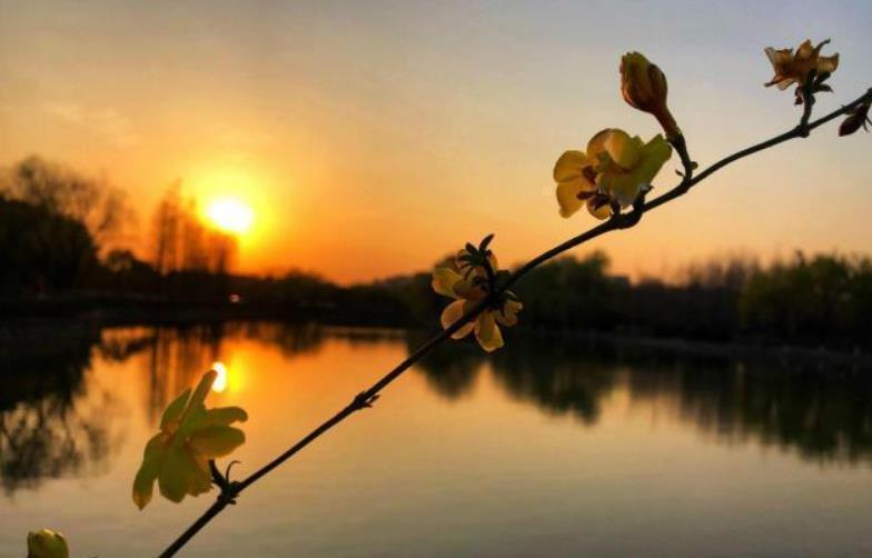 棋子|一首被强势妈逼出来的趣诗,明代小顽童边哭边写,流传了500多年