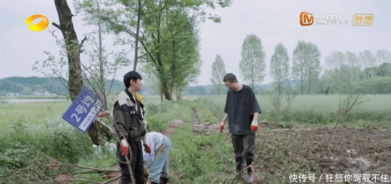 四棵树 蘑菇屋请陈赫和李诞是一个错误,除了偷懒以外,并没有带来啥看点