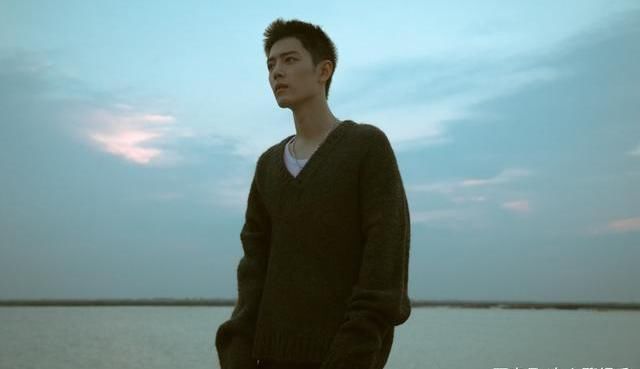 百度 肖战磐涅重生,又一荣誉被主流官方公布,暖心寄语太感人