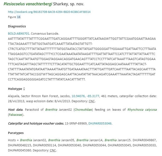 |一篇文章发表403个新种是搞笑?