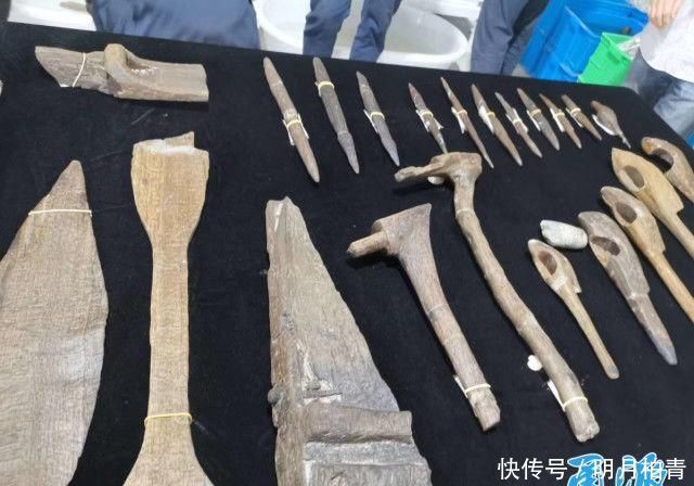 井头山遗址考古惊喜连连,发现中国最古老工艺最先进航海船桨