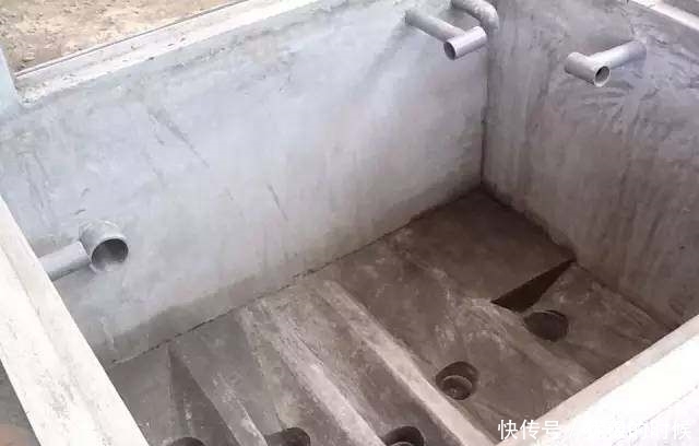 鱼缸和池还可以这样结合?只能说很有想法,有钱我也搞一个!