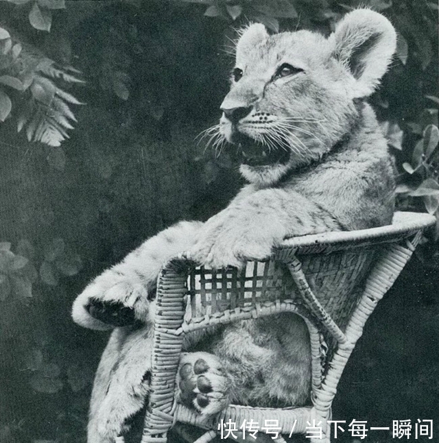 忍俊不禁|18张让人忍俊不禁的老照片