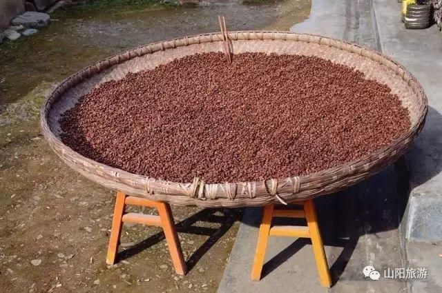 人间|【山阳美食】人间至味是家常——豆酱炒腊肉