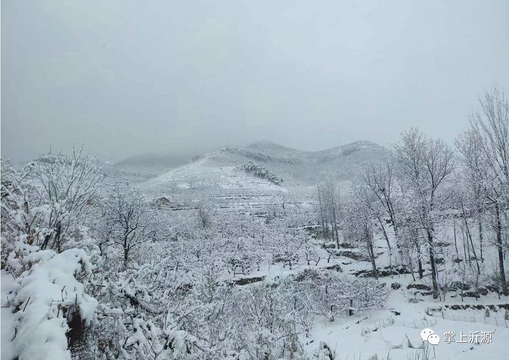 初雪来袭：你在朋友圈晒雪景，我在雪中守护你