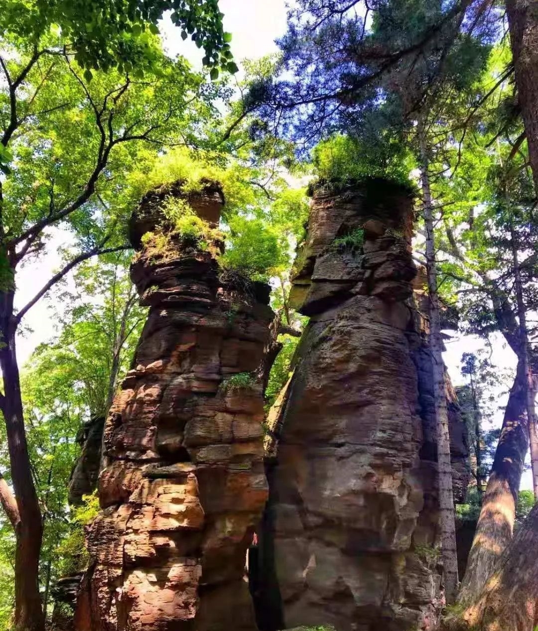 白山|到了这儿，忍不住想起了杜牧的那首名句！