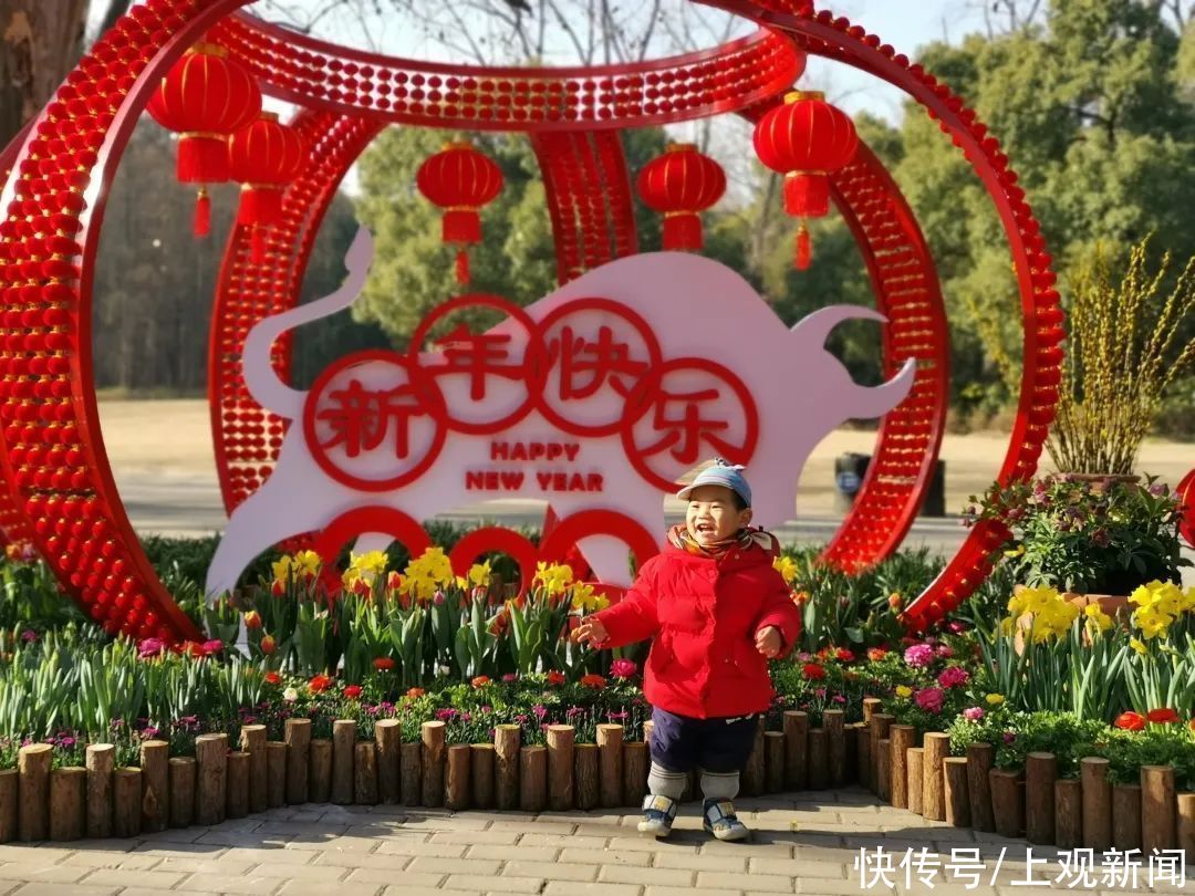 乐嗨过年！杨浦文化旅游市场“成绩单”来啦