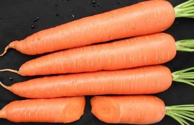 吃胡萝卜可以丰胸胡萝卜的功效有哪些它的营养价值大不大