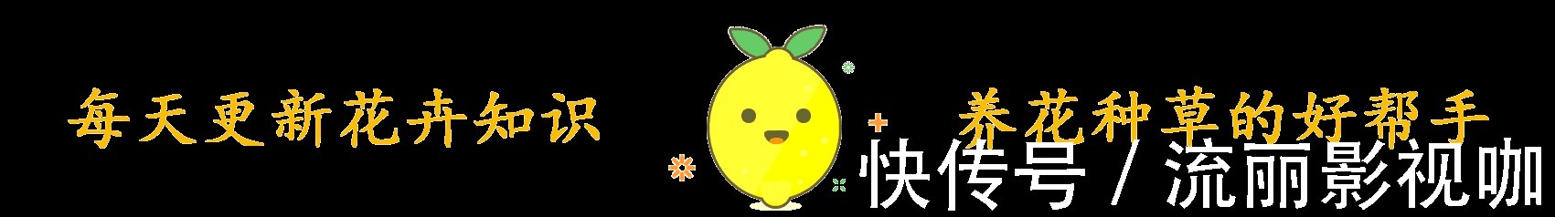 黑云母|这种养花好料知道的人很少，土里加一点透气又保温，扦插时也有用