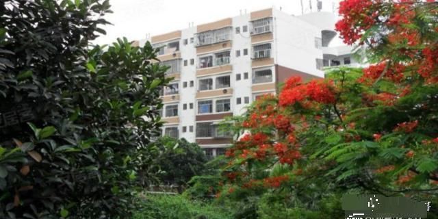 配偶|房产证是夫妻二人的名字,现在先生已故,妻子可以直接接收房子吗来看看