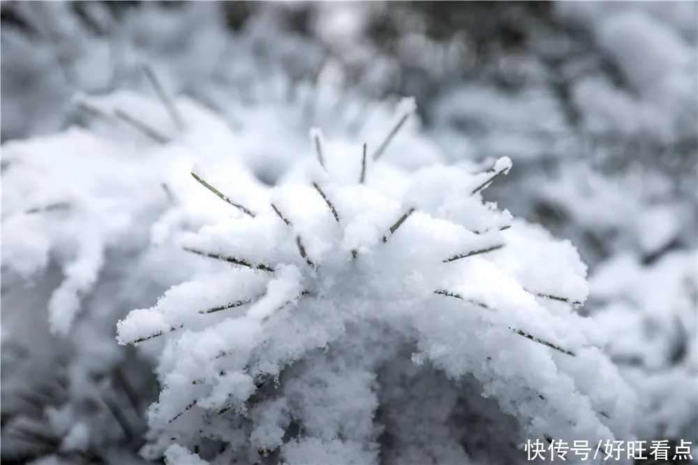 西安翻译学院：银装素裹雪景美如画