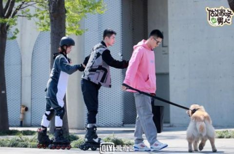 网友吐槽|《做家务的男人》是怎么变成吐槽男明星大会的？