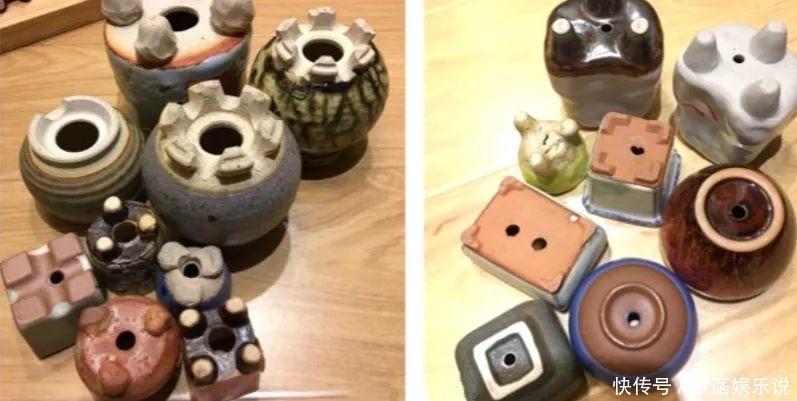 多肉|养多肉怕积水、烂根?用“2种东西”来养,再浇水都不怕