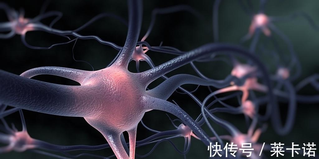 20个冷知识:真实存在于我们的生活中,趣味十足的奇怪知识