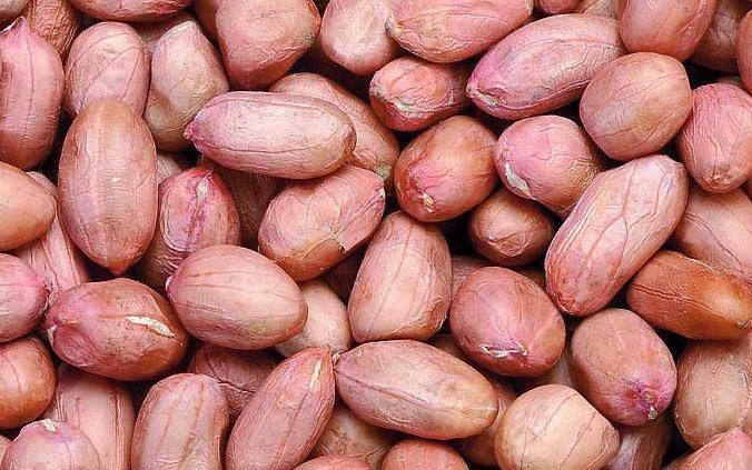 抗癌|常吃花生可以抗癌,为何专家却说如此吃是“喂养”癌细胞