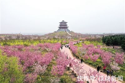 城市之光|踏青赏花看黄河...快收好这份省文旅厅特制春游攻略