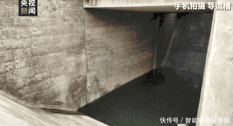 vivo|世界5G大会:支持北斗定位服务的手机达80%,vivo领衔