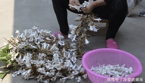 食物|在农村长大的你，你有全部吃过这些食物吗！尤其是最后一种