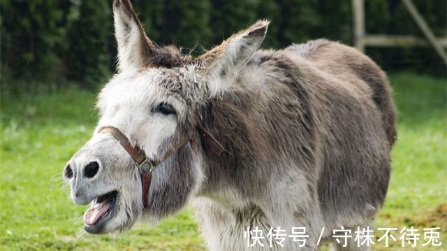 尿意|22个冷知识:为什么刚想入睡,就会产生尿意