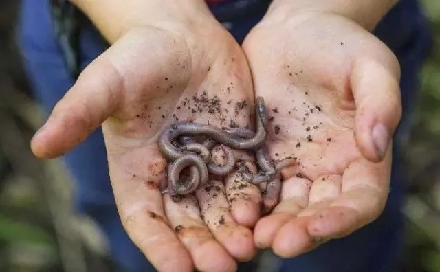 野钓|天气冷,鱼就不好钓了?别被坑了,只要精选3大招式,板鲫越钓越大